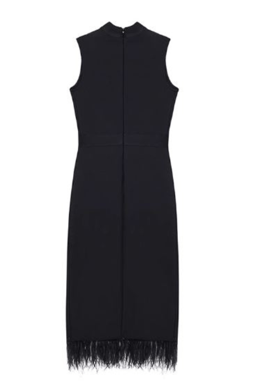 Woman wearing a figure flattering  Erin Sleeveless Bodycon Dress -  Classic Black BODYCON COLLECTION